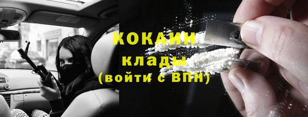 эйфоретик Кукмор