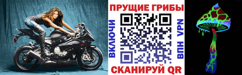 Галлюциногенные грибы Psilocybine cubensis  Купить где  Кущёвская 